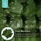 Best Choice Products Artificial Faux Ivy Hedge Privacy Fence Screen for Outdoor Decor, Garden, Yard